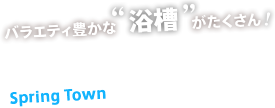 バラエティ豊かな浴槽がたくさんスプリングタウン