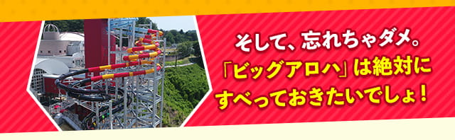 そして忘れちゃだめ。「ビッグアロハ」は絶対にすべっておきたいでしょ。