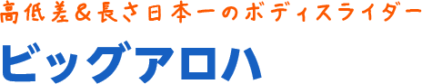 高低差＆長さ日本一のボディスライダー「ビックアロハ」